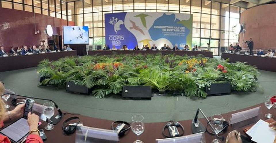 Foto: Divulgação COP15