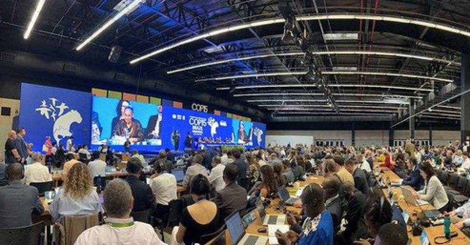 Foto: Divulgação/Rogério Cassimiro/MMA