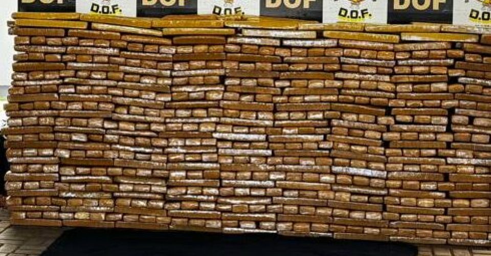 Foto: Divulgação/DOF