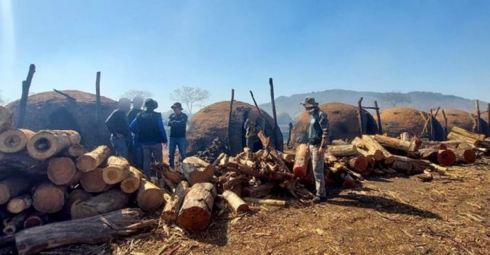 Foto: Divulgação/MPTMS