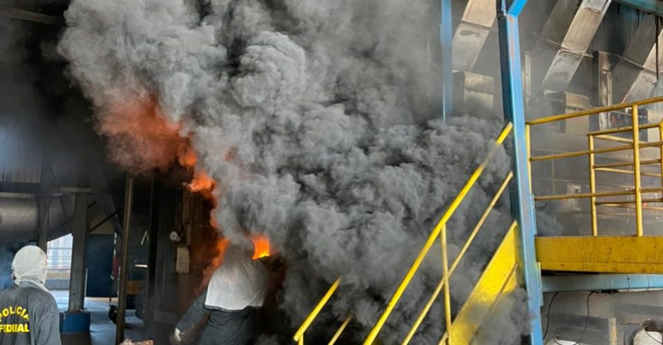 Divulgação/ Polícia Federal