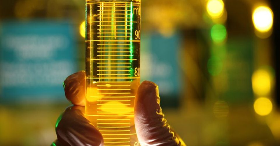 A empresa estatal vem reduzindo preço cobrado nas bombas desde o início do atual Governo Federal. Foto: Divulgação