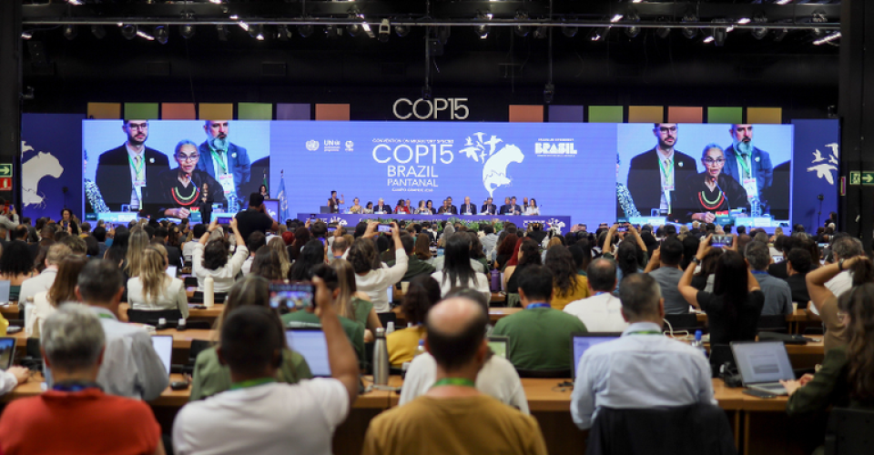 Foto: Ueslei Marcelino/MMA