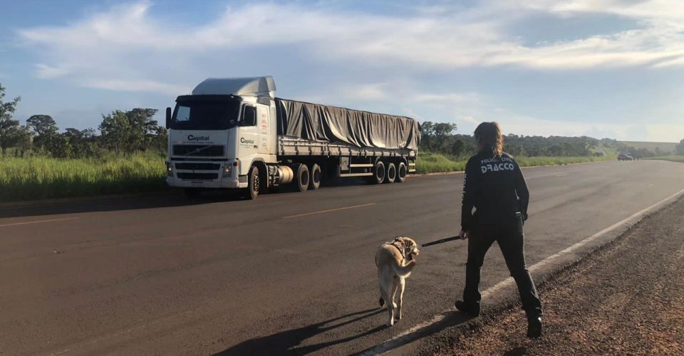 cocaina drogas apreensao dracco rodovia cocaina policia