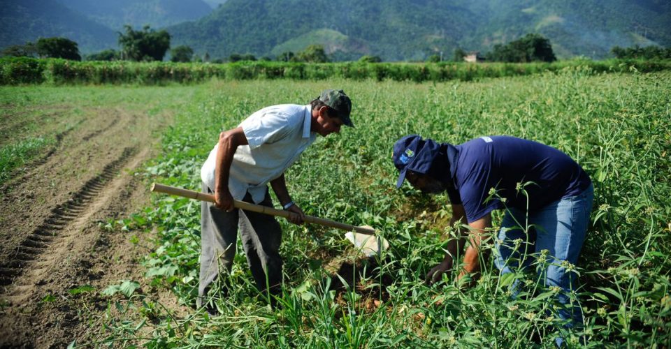 Agricultura Familiar