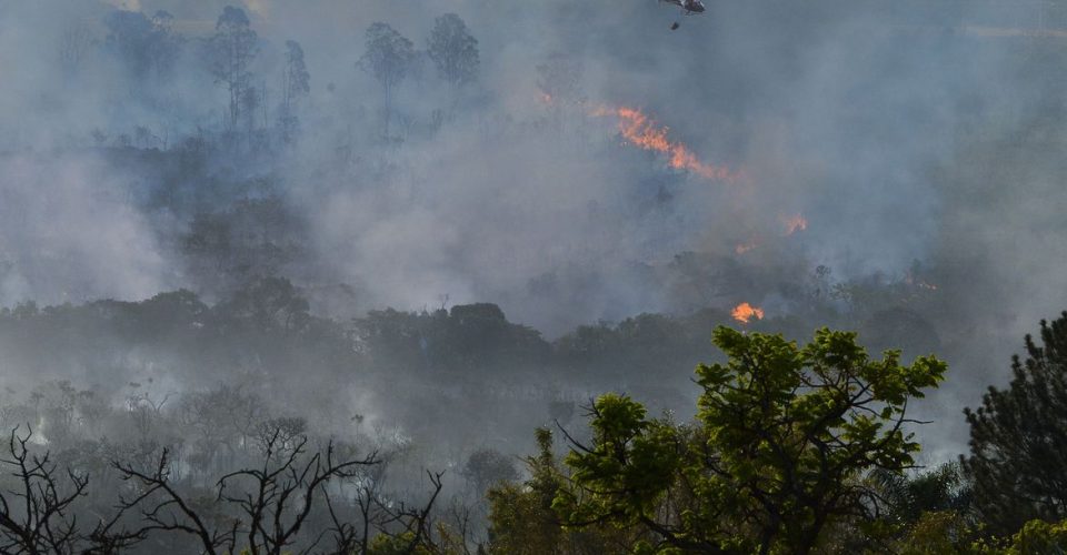 Foto: Valter Campanato/Agência Brasil