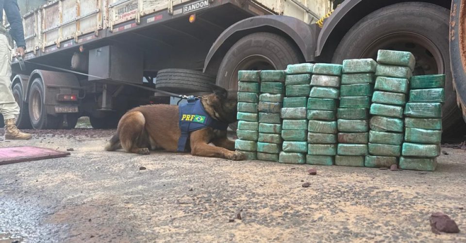 Foto: Reprodução/PRF