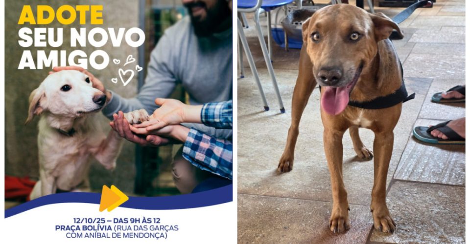Foto: Divulgação
