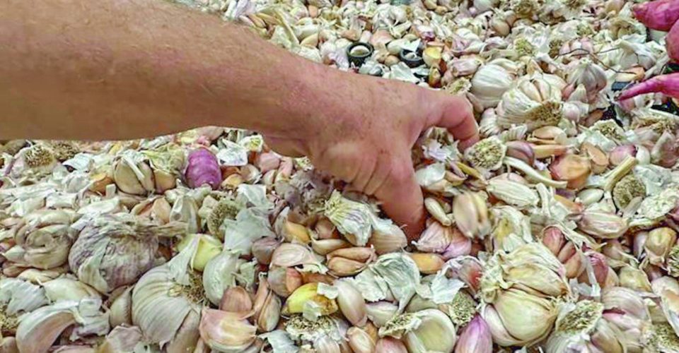 Foto: Marcos Maluf / Arquivo