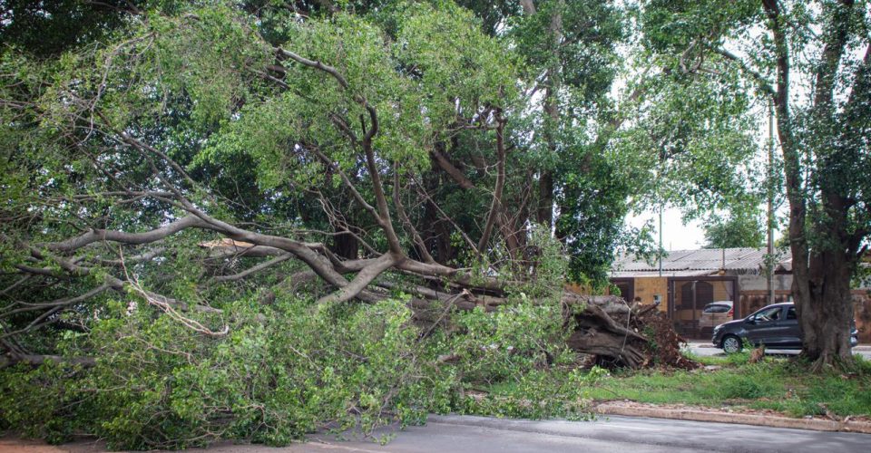 Queda interditou a avenida no sentido Centro-Bairro - Foto: Allan Gabriel
