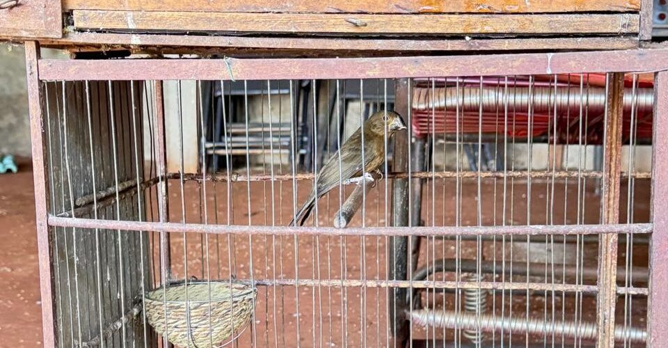 Foto: Divulgação/PMA