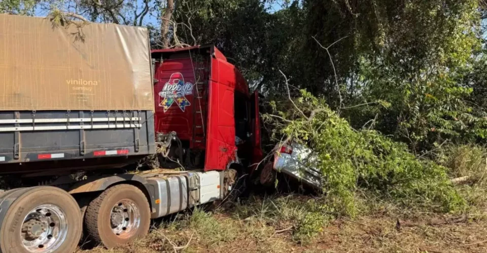 Foto: Elenize Oliveira, Cenário MS