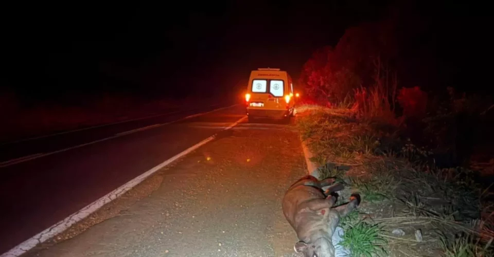 Foto: reprodução/Jornal da Nova
