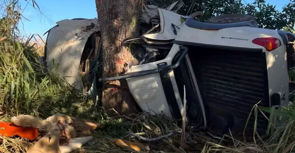 Foto: divulgação/Corpo de Bombeiros