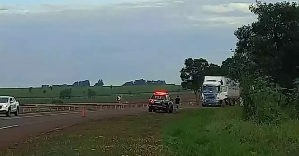 Foto: reprodução/redes sociais