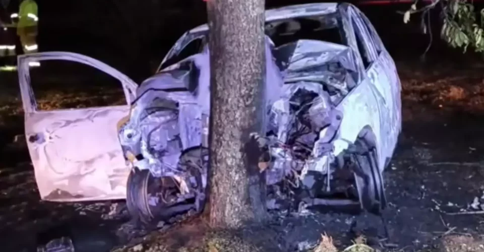 Foto: reprodução, Sidney Bronka