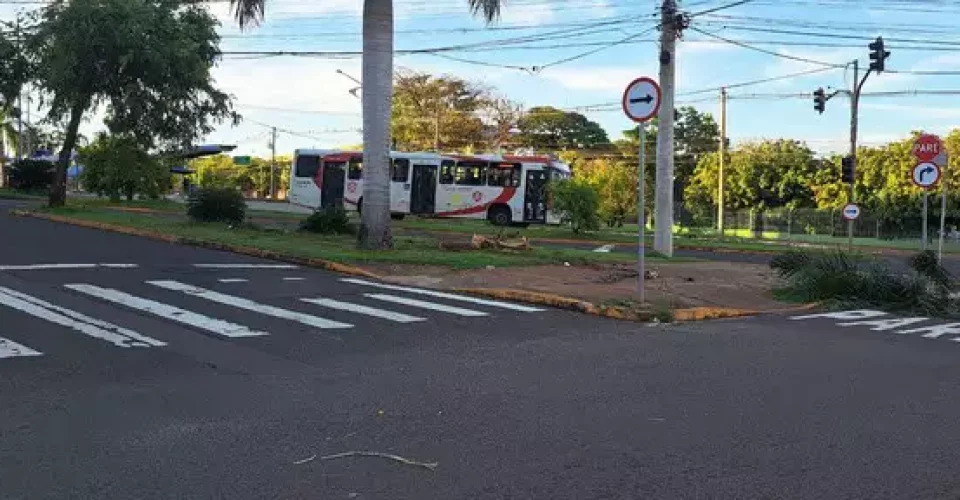 Foto: reprodução/redes sociais
