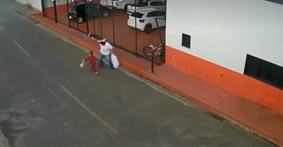 Foto: reprodução/redes sociais