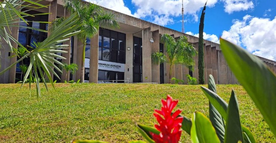 Foto: Wagner Guimarães/Alems