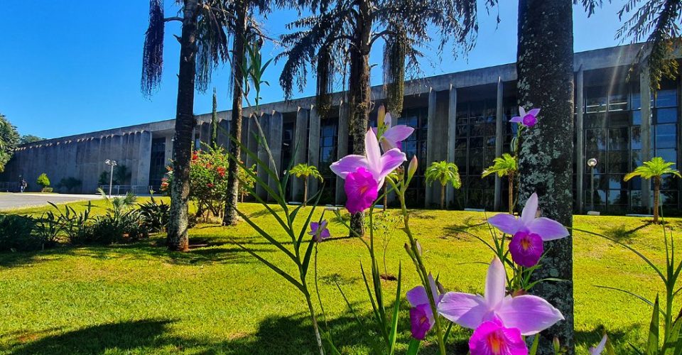 Foto: Wagner Guimarães / Arquivo ALEMS