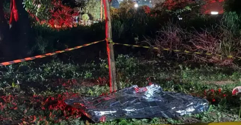 Foto: reprodução/Jardim MS News