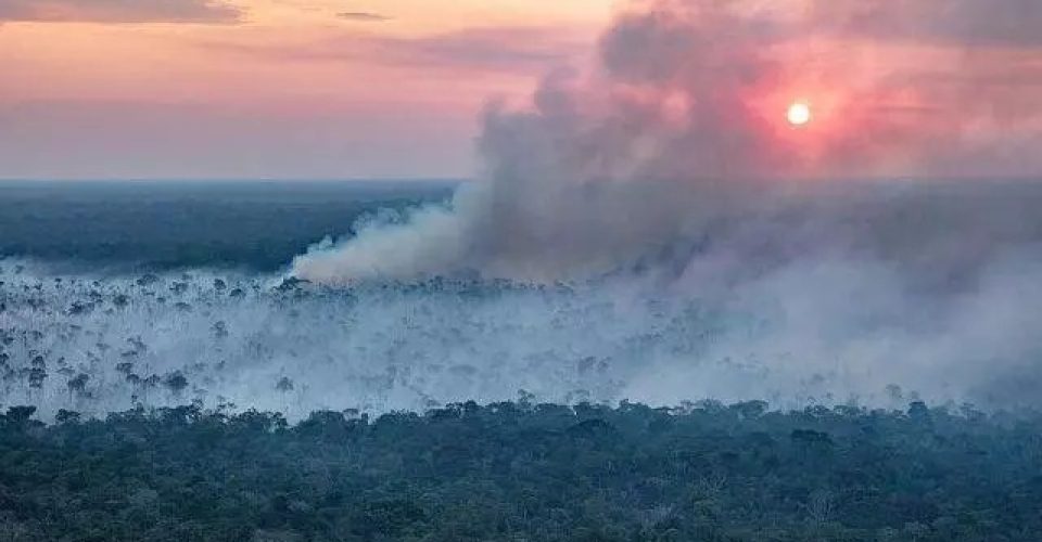 Mais de 22 mil focos de calor foram detectados no bioma durante o período.|Foto: Reprodução/SBT News