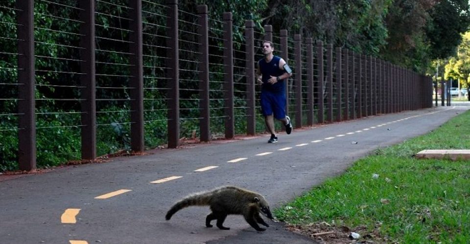 Amigos do Parque