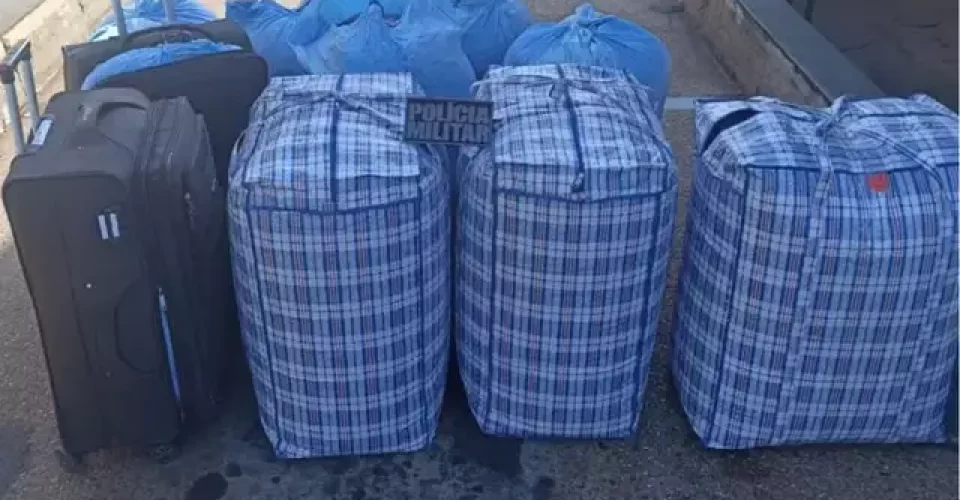 Foto: divulgação/PMMS