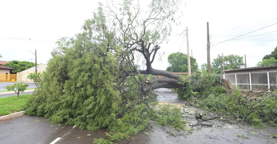 Foto: Nilson Figueiredo