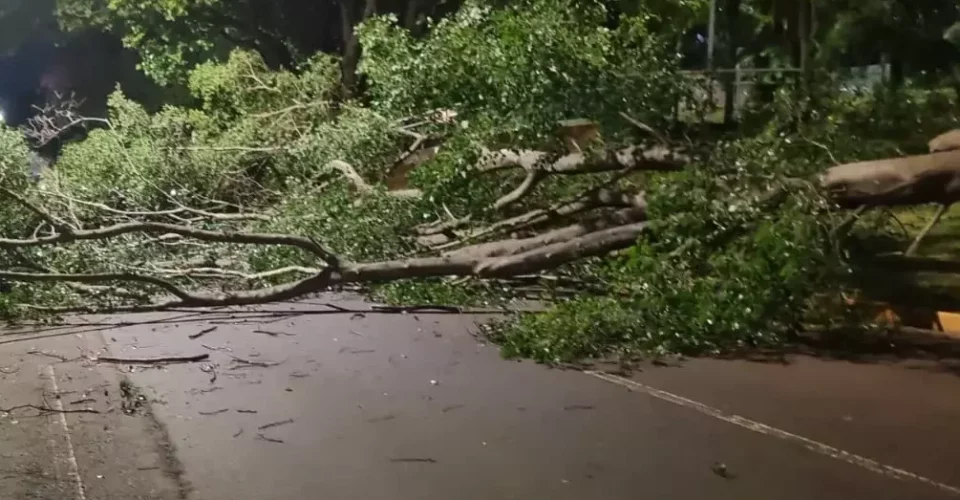 Foto: reprodução/redes sociais