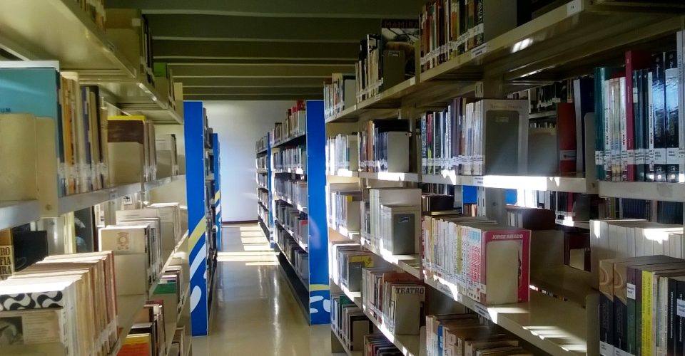 Biblioteca_Alexander-Onça