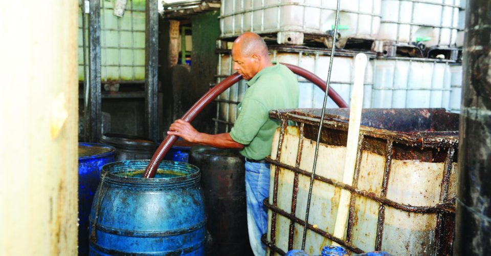 Funcionário
de empresa
manuseando o
óleo vegetal usado
(Foto: Nilson Figueiredo)