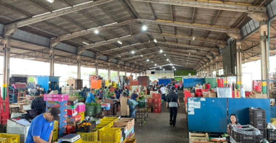 Foto: Comunicação Ceasa-MS