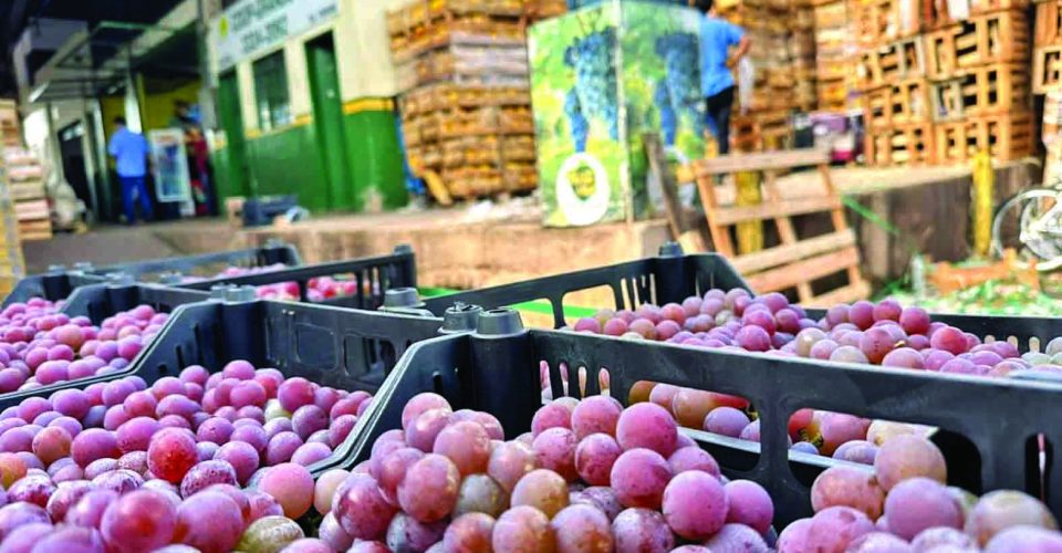 Seja para compor a mesa ou uso nas sobremesa, a uva concentra alta demanda - Foto: Marcos Maluf