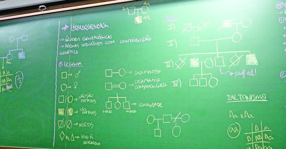 Foto: Roberta Martins