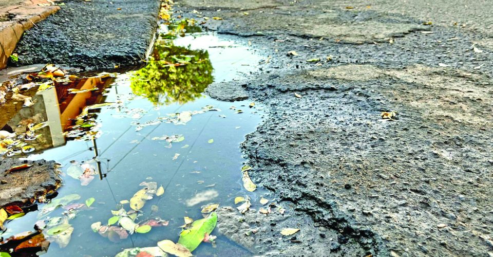 Foto: Roberta Martins