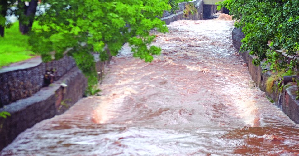 Foto: Nilson Figueiredo