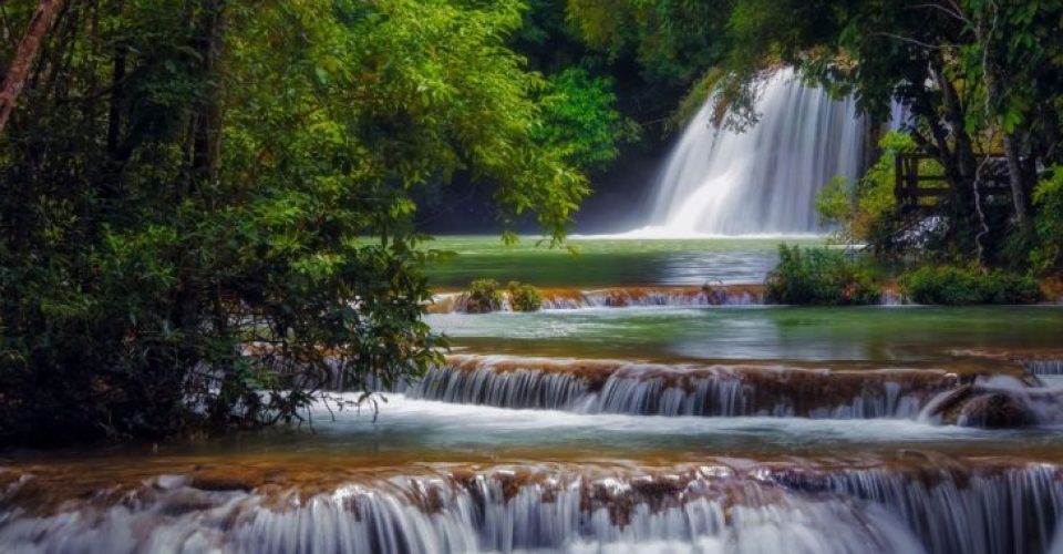 Foto:  Estância Mimosa Ecoturismo