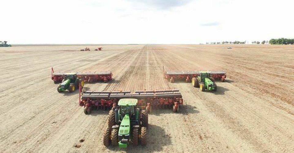 Administração consolida Mato Grosso do Sul como vitrine do setor do agro e líder no crescimento do PIB. - Foto: divulgação