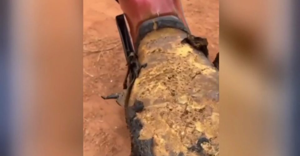 foto: reprodução/redes sociais