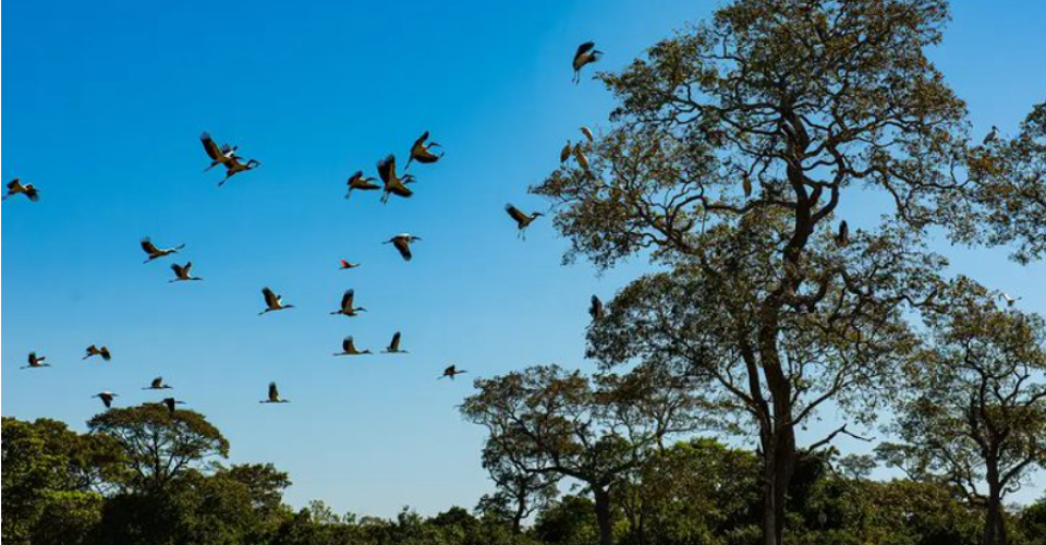 Foto: Mayke Toscano/Secom-MT