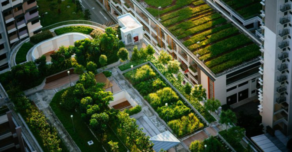 cop30 Foto: Banco de Imagem/Unsplash