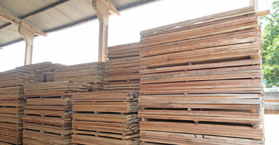 Foto: Nilson Figueiredo