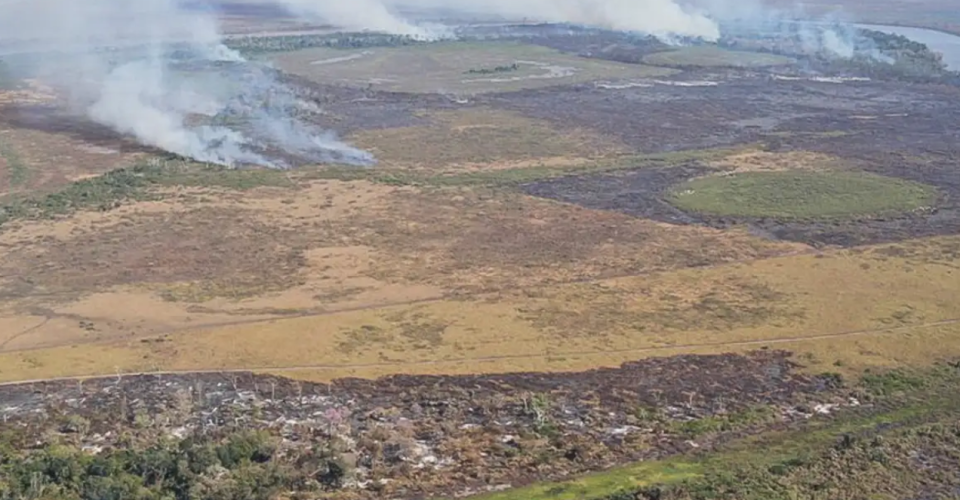 Foto: Polícia Federal/MS