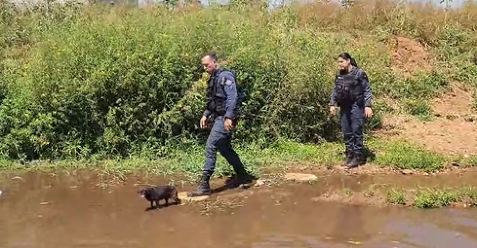 Foto: Divulgação/PMMS