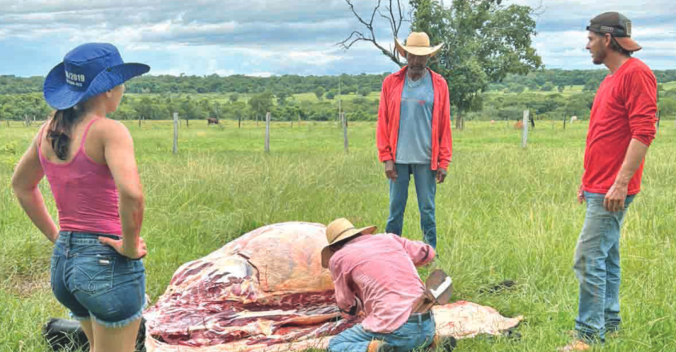 Foto: arquivo pessoal