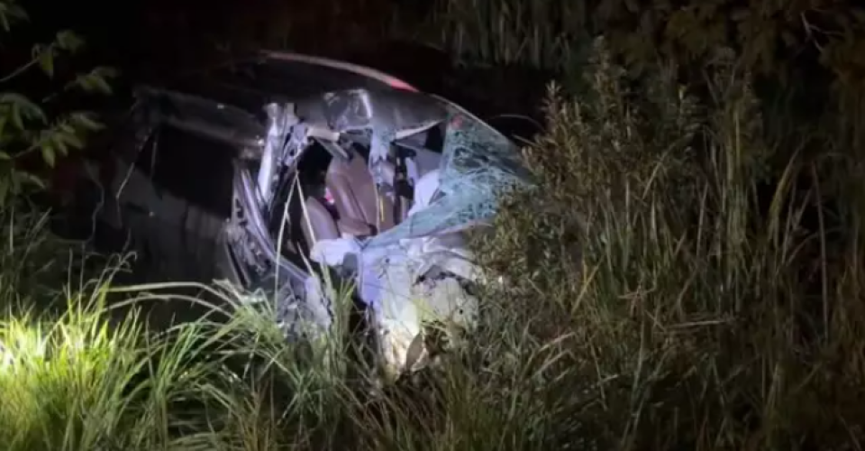 Foto: Jardim MS News