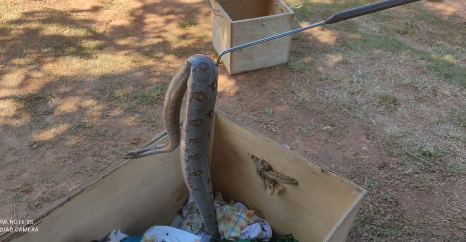 Foto: Divulgação/PMA