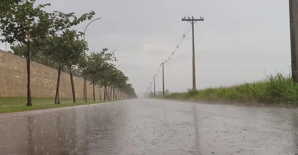 Foto: Reprodução/MS em Foco