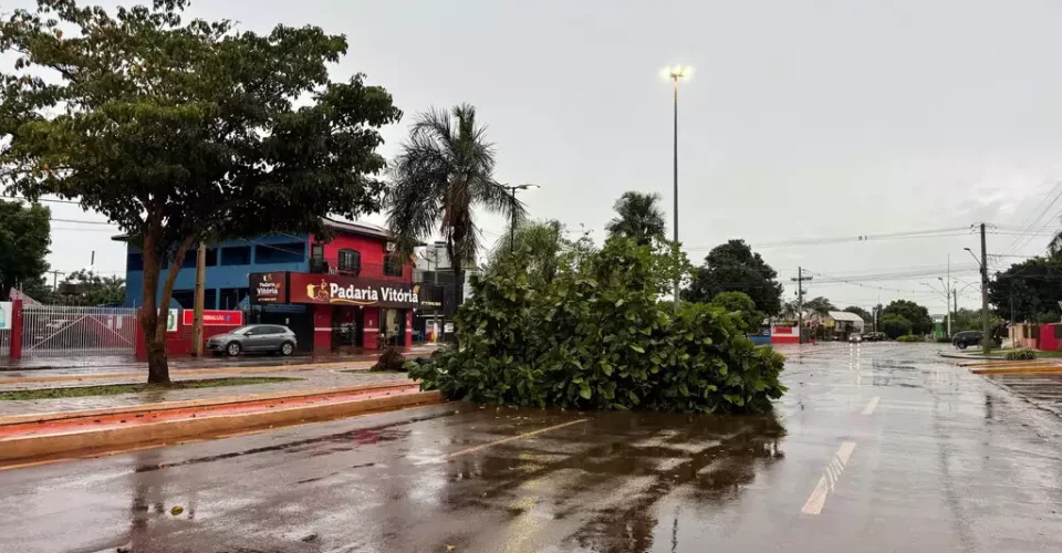 Foto: reproduçãoDiego Batistoti/RB Notícias